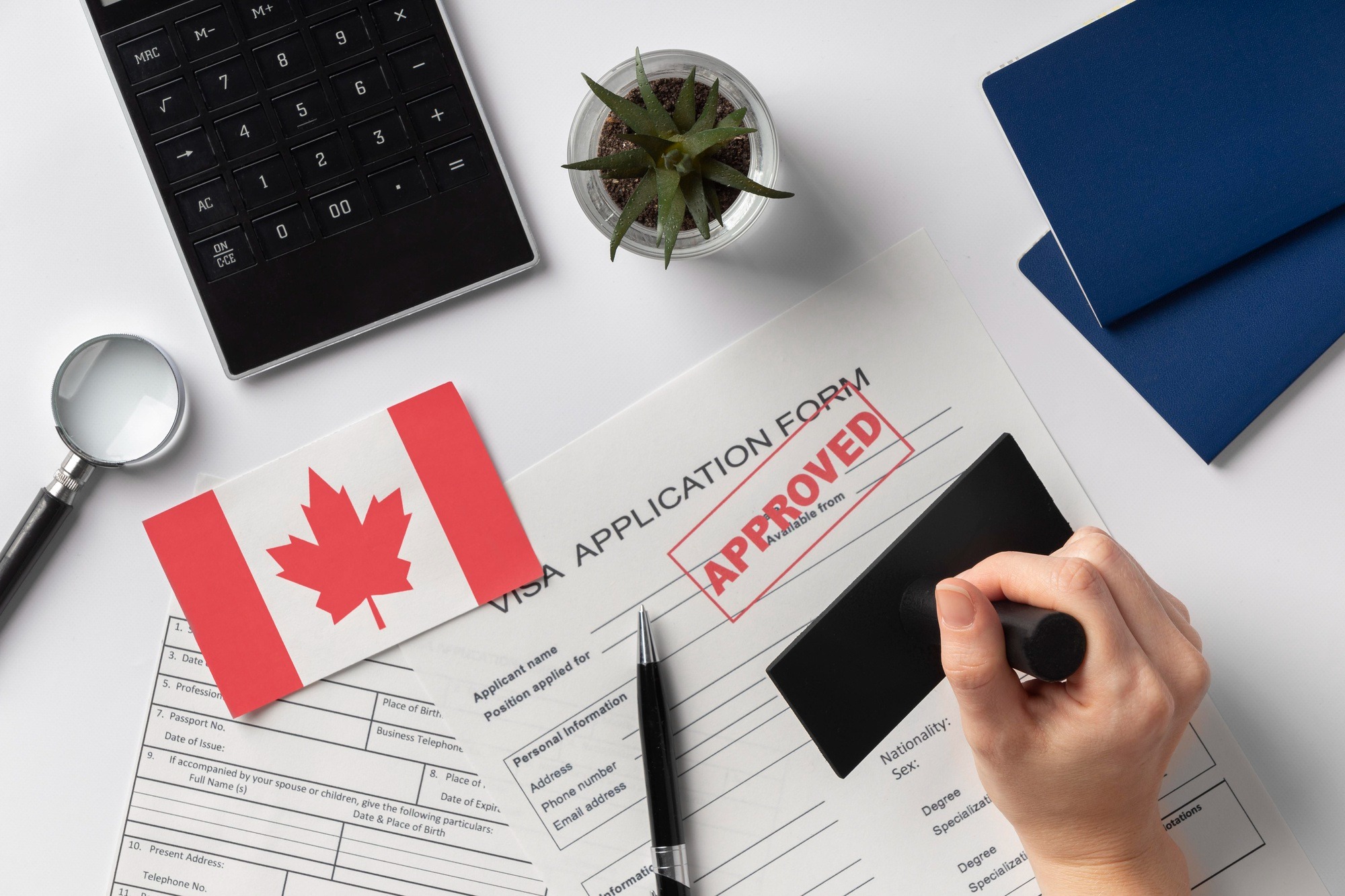 ADN immigration Canada Ahmed Boumehani